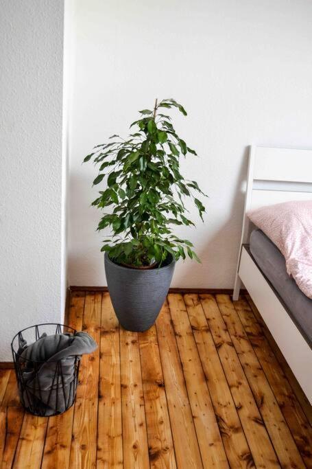 Schoene Dachgeschosswohnung Nahe Koeln Exterior photo